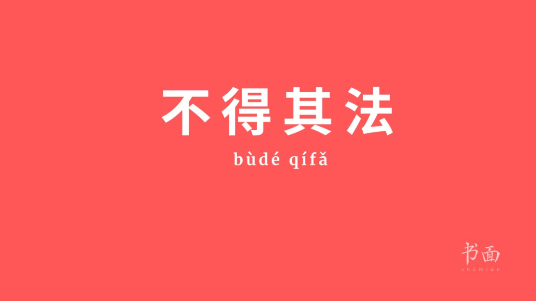 censo chinês shumian newsletter