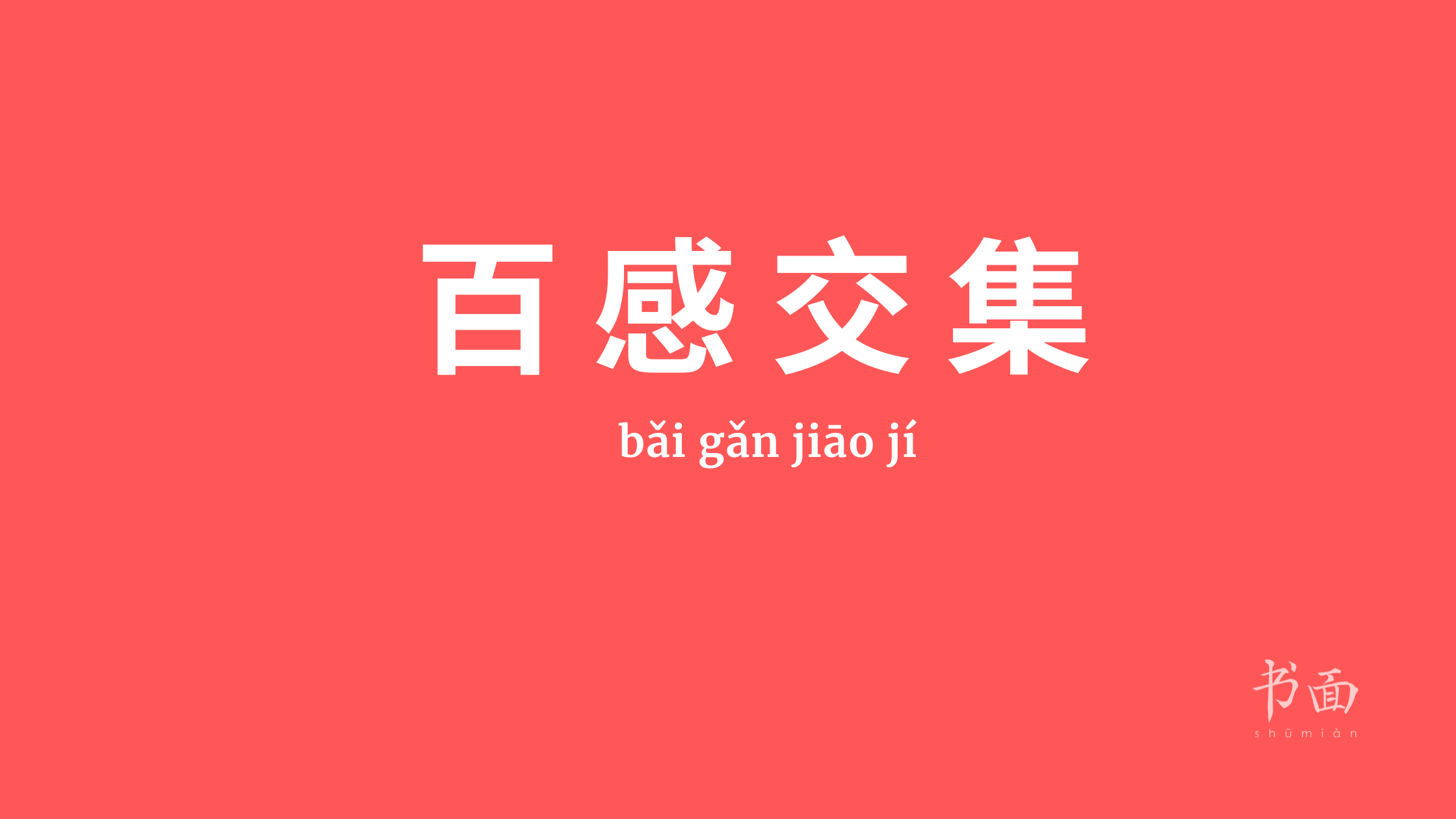 Imagem de fundo vermelho, com texto em branco. Caracteres chineses cujo pinyin é 百感交集 - bǎi gǎn jiāo jí.