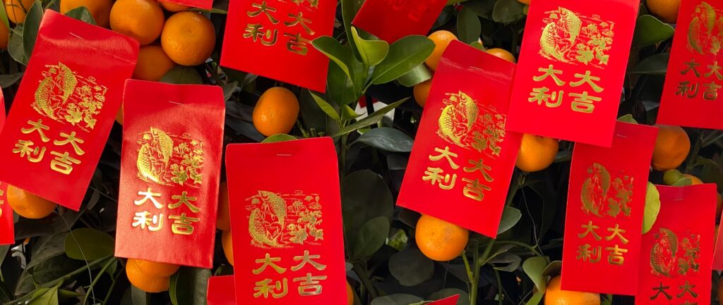 Fotografía en color que muestra sobres de dinero chinos rojos y dorados que cuelgan de un árbol de mandarina.