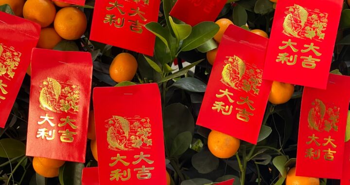 Fotografía en color que muestra sobres de dinero chinos rojos y dorados que cuelgan de un árbol de mandarina.