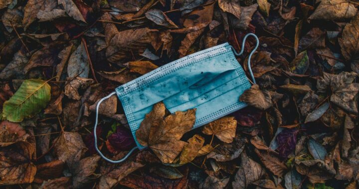 Fotografía en color de una mascarilla quirúrgica azul abandonada en un suelo cubierto de hojas secas.