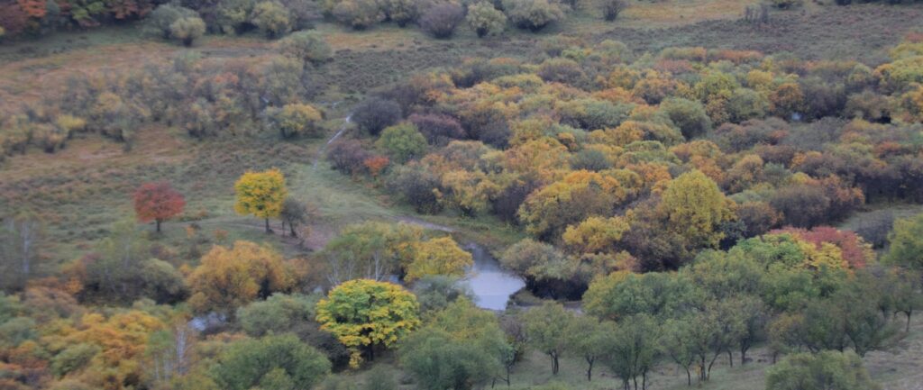 fotografia de uma floresta na mongólia interior com árvores de diferentes cores e um rio cruzando