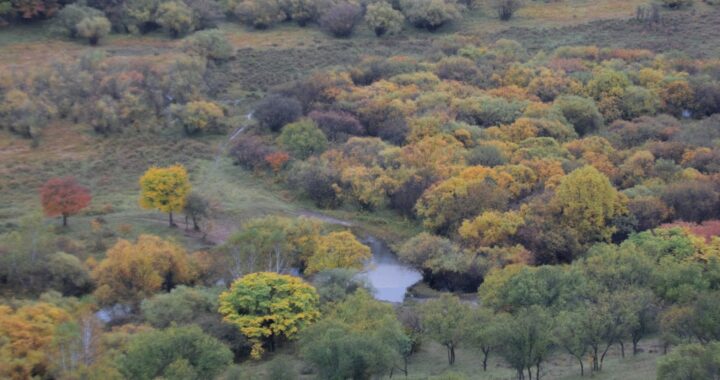 fotografia de uma floresta na mongólia interior com árvores de diferentes cores e um rio cruzando