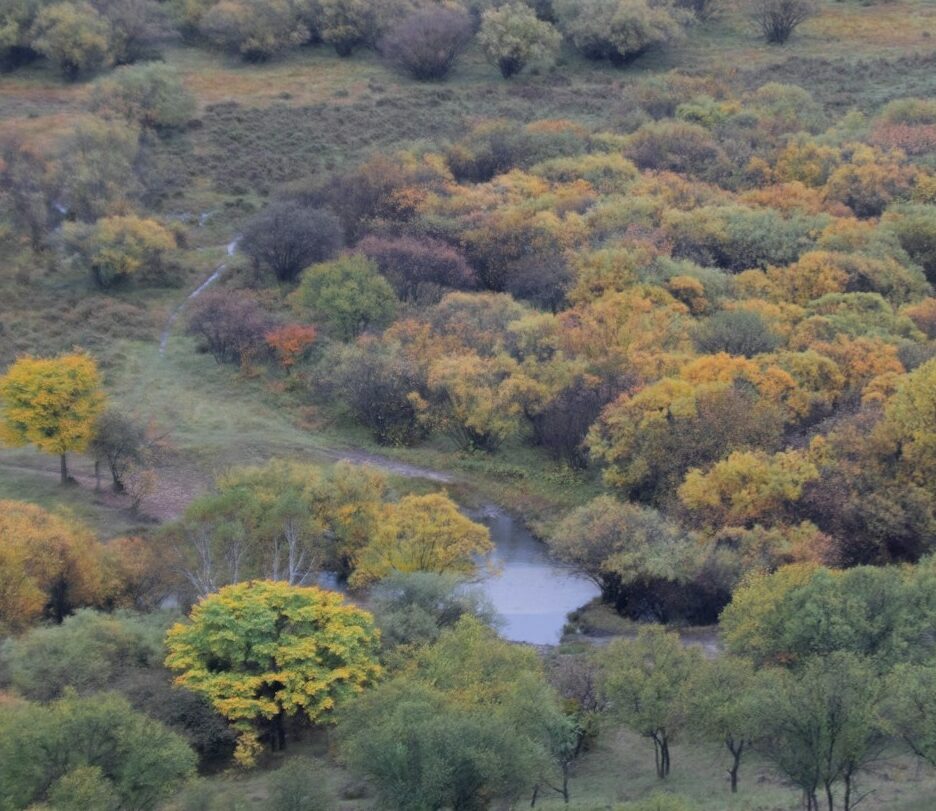 fotografia de uma floresta na mongólia interior com árvores de diferentes cores e um rio cruzando