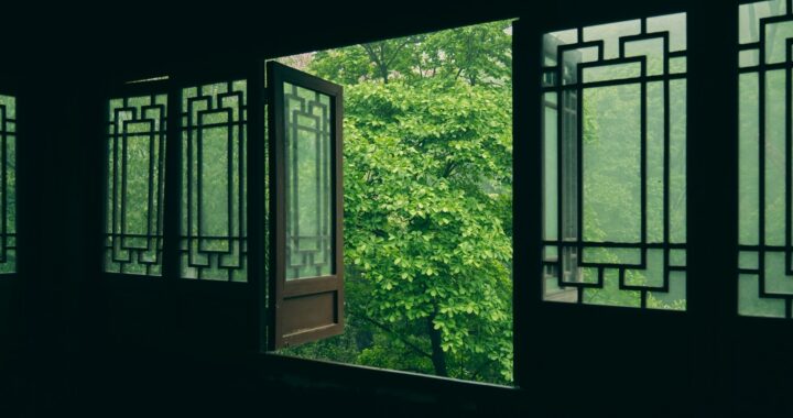 Foto em cores de copas de árvores vistas a partir de janela de estética tradicional chinesa.