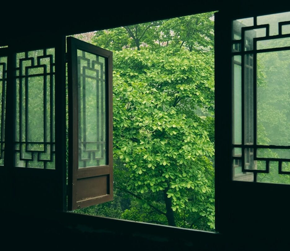 Foto em cores de copas de árvores vistas a partir de janela de estética tradicional chinesa.